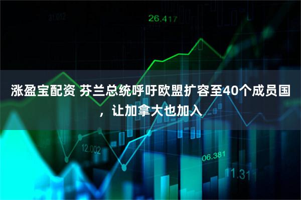 涨盈宝配资 芬兰总统呼吁欧盟扩容至40个成员国，让加拿大也加入